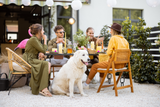 Sorgenfreier Urlaub: 7 Tipps, um den Hund bei Freunden abzugeben – ohne schlechtes Gewissen!